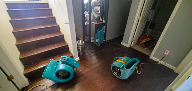 Best Water damage restoration near me  in Gurnee, IL