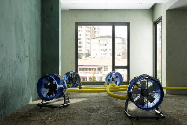 Best Commercial water damage restoration  in Gurnee, IL