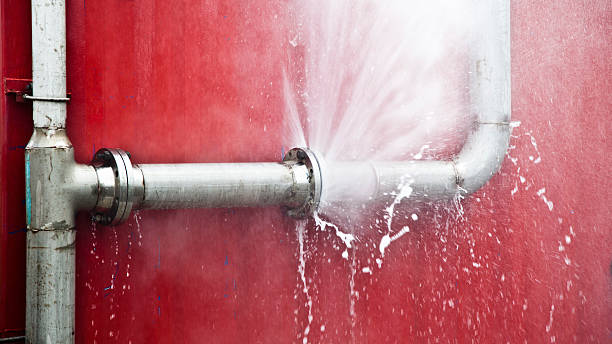 Best Flooded house restoration  in Gurnee, IL